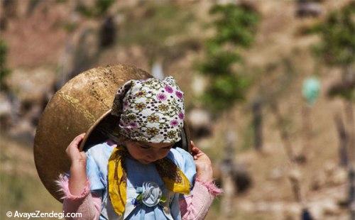 باغ میشی که بقمج شد