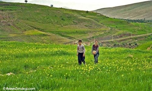 میراث بکر ریجاب