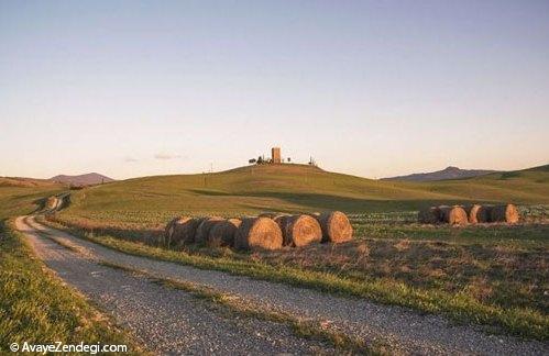 تصاویر زیبا و رویایی از وال دورچه