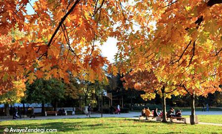 جاذبه های گردشگری بلغارستان