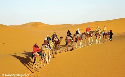 سفر به مراكش؛ سلطان صحراها