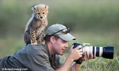 عکاسی در یک وجبیِ حیوانات درنده!