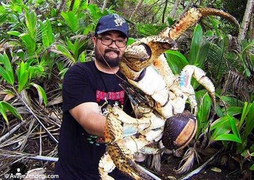 سلفی در آغوش بزرگترین خرچنگ دنیا