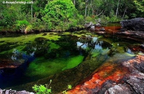 رنگی ترین رودخانه جهان 