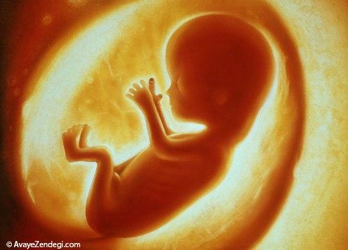 قانون چه حمایتی از«جنین» می کند؟