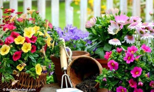 با تزیین باغچه، روح تان را باغبانی کنید